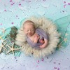 Crystal Lee Photography