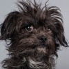 Ellen Shershow Photography