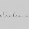 CTandRina Photography Studio