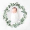 Erin Davison Photography
