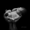 Ann Lyle Photography
