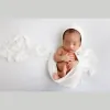 Sally Whetten Photography