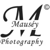 Mausey Studios