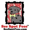 See Spot Pose