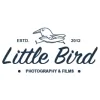 Little Bird Photography