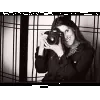 Heidi Borgia Photography