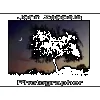 John Zappala Photographer