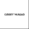 Oshey Vargas Photography