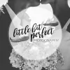 Little Bit Perfect