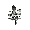 Three Region Photography