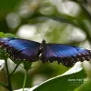 Joan Heffler Photography