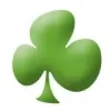 Limerick Studio