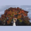 Viridian Images Photography