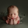 Tiffanyleigh Photography