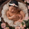 Mccarrel Photography
