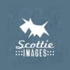 Scottie Images