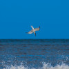 musaweron photography